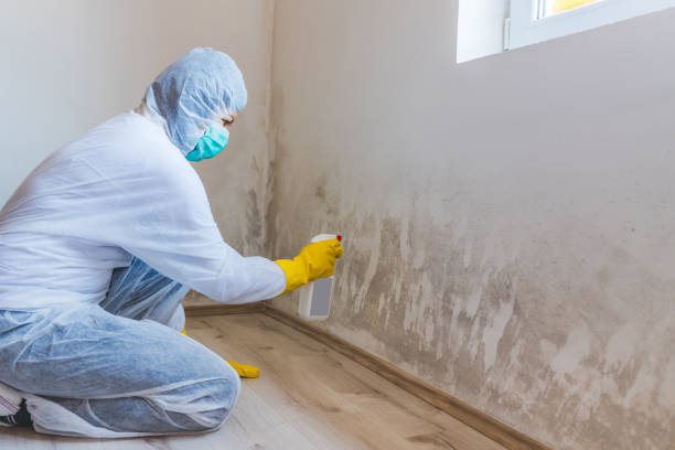 Mold Remediation specialist working in Oaks