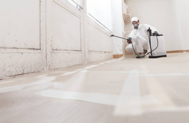 Black mold remediation team in Oaks